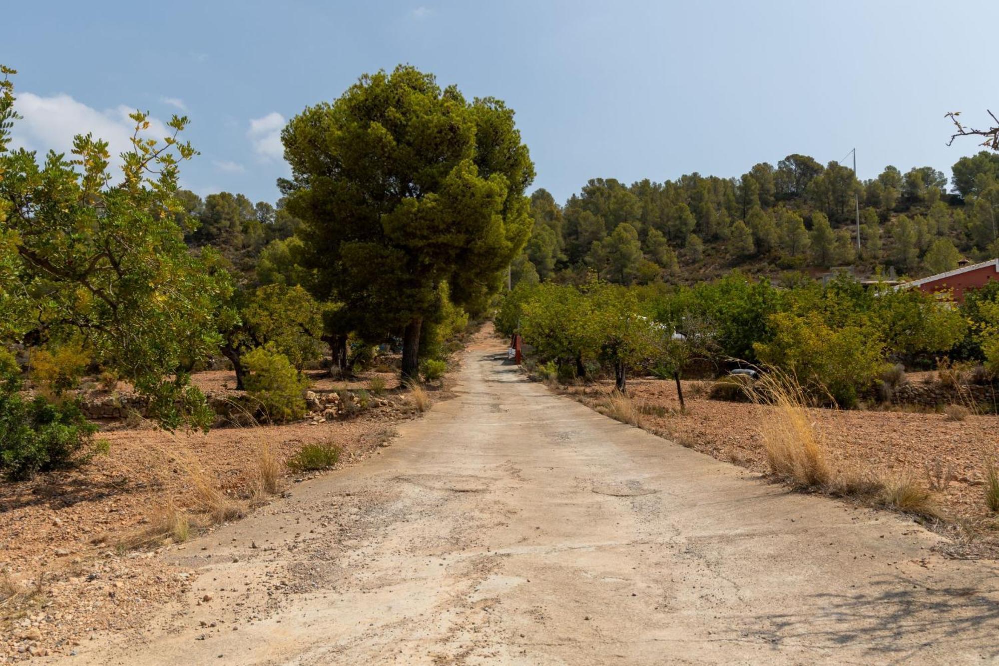 Olocau Finca El Escondite מראה חיצוני תמונה